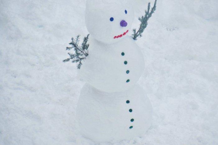 Ilustračný obrázok k článku Prešovčania ukázali, akí sú šikovní: Dni nám spríjemňujú utešení snehuliaci, FOTO
