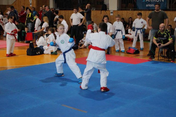 Ilustračný obrázok k článku Super výkony Prešovčiat na turnaji: Bojovníci v karate získali sadu medailí