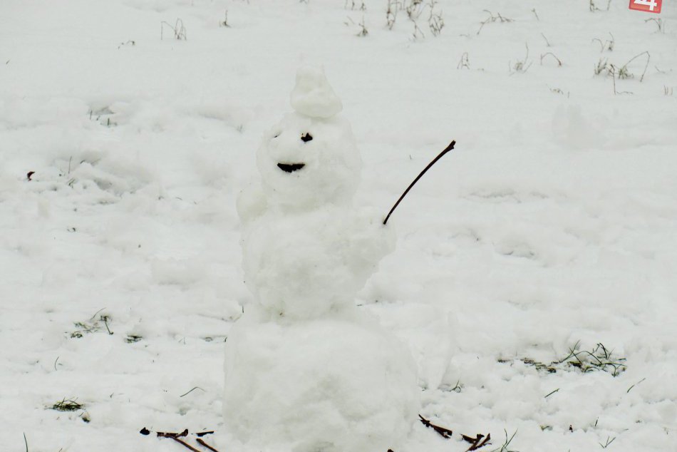 Utešené fotky z Prešova: Takýto snehuliaci nám rozdávajú radosť
