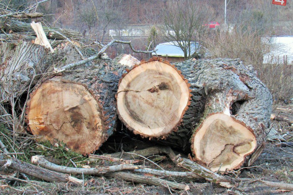 ZÁBERY Z MIESTA: Na Sídlisku III v Prešove došlo k výrubu stromov