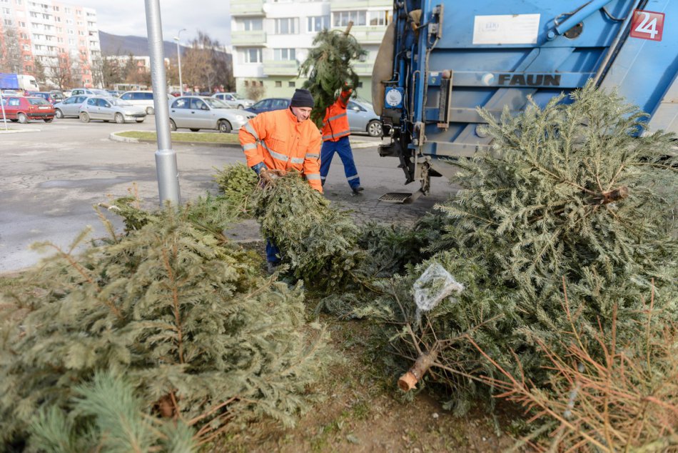 Ilustračný obrázok k článku Svoju úlohu splnili: Technické služby v Prešove začínajú vianočné stromčeky odvážať
