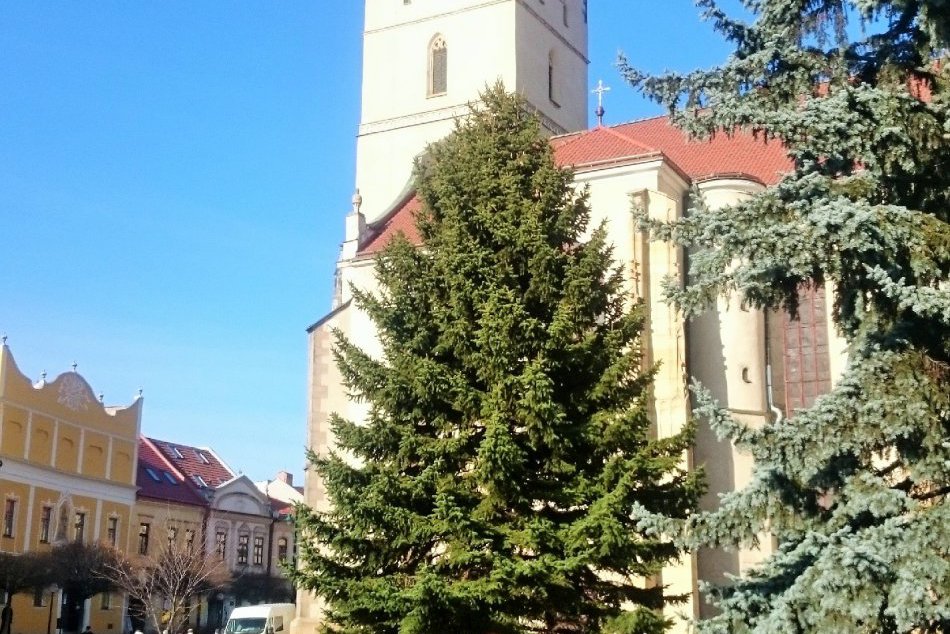 Ilustračný obrázok k článku V centre mesta na Hlavnej už máme vianočný stromček: Tento rok bude v novom šate!
