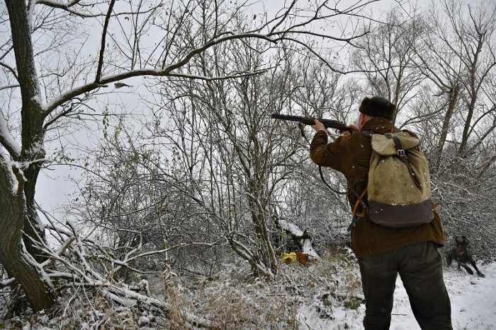 Ilustračný obrázok k článku Ochranári kritizujú lov sibírskych zvierat zimujúcich na Zemplíne
