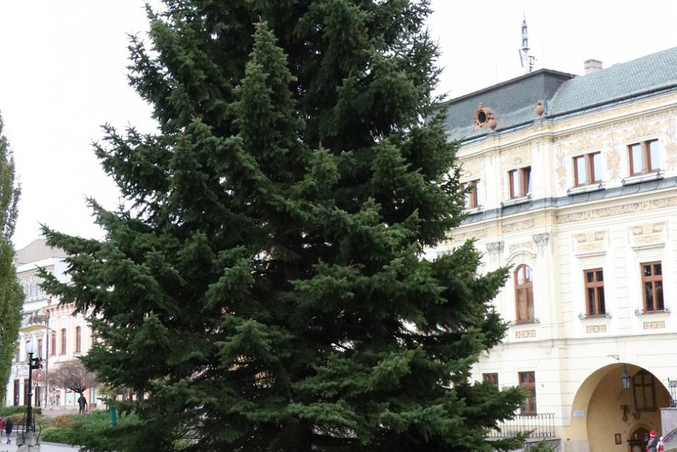 FOTO z Prešova: Vianočný stromček je už na svojom mieste