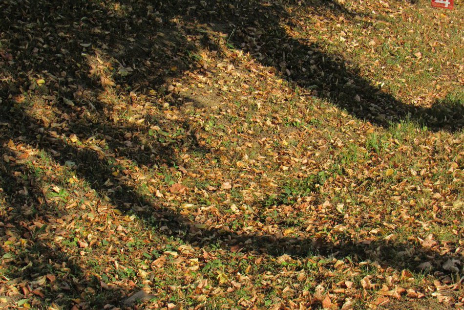 V Prešove je mimoriadne sucho: Nejedno miesto pripomína jeseň