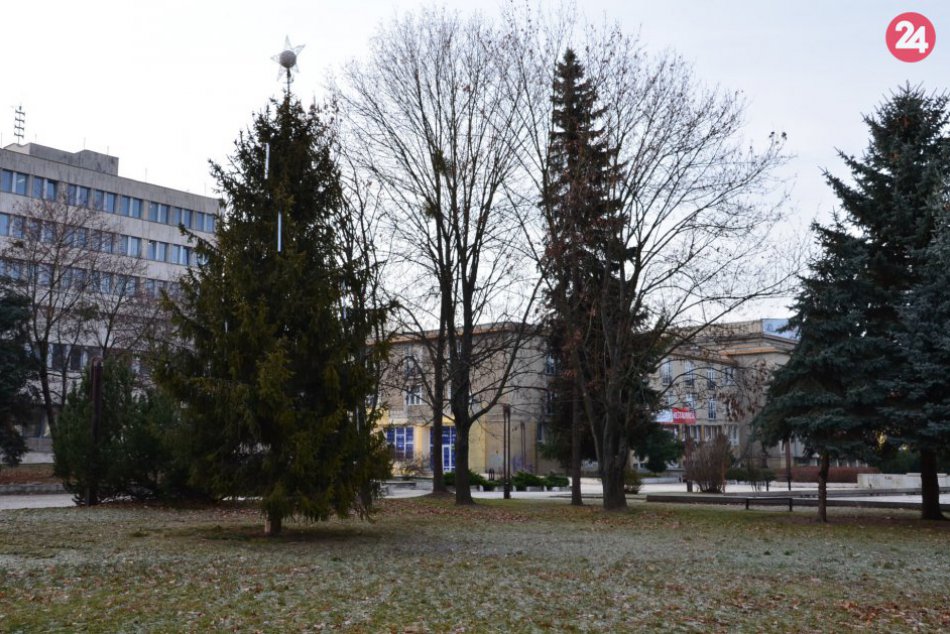 V OBRAZOCH: Vianočný stromček pred prešovským župným úradom