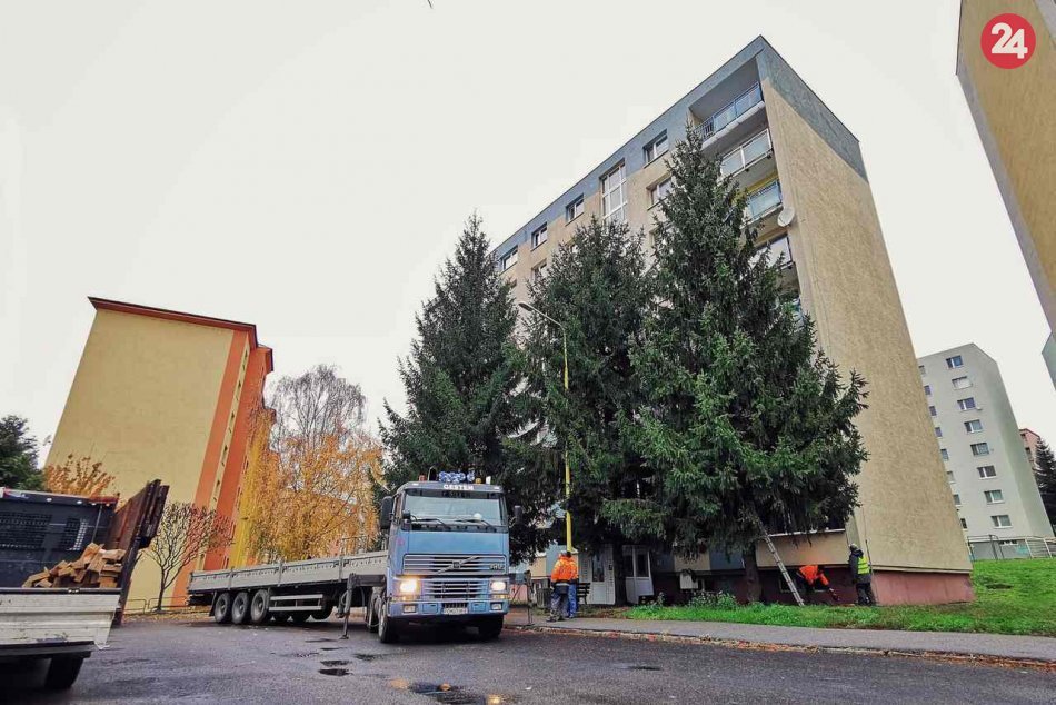 Vianočný stromček už skrášľuje centrum Prešova: Je ním tento krásavec