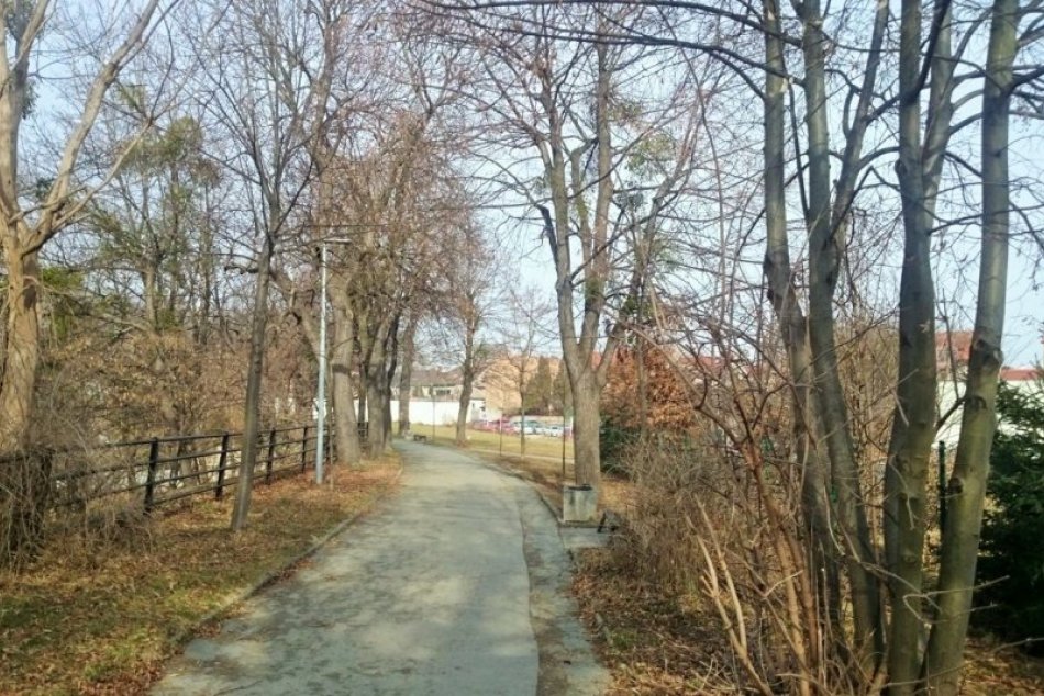 Obrazom: Stromoradie v Prešove prejde zmenami, chystá sa aj výrub