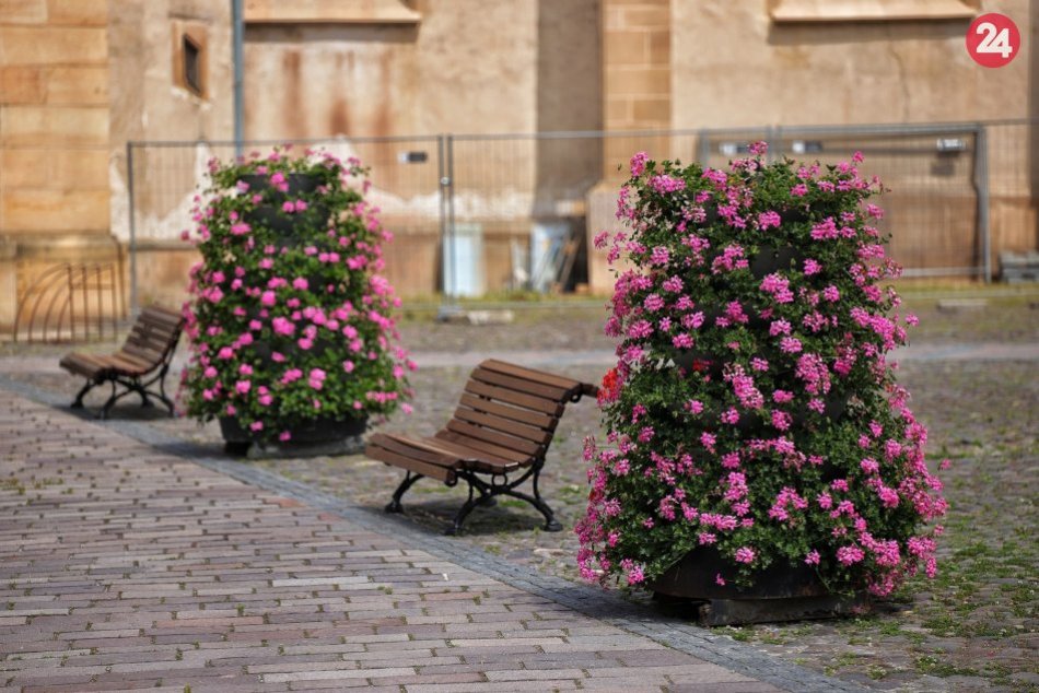 Obrazom: Výsadba kvetov v centre Prešova